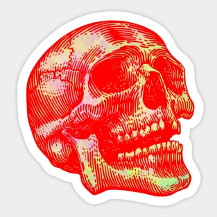 Skull Sticker